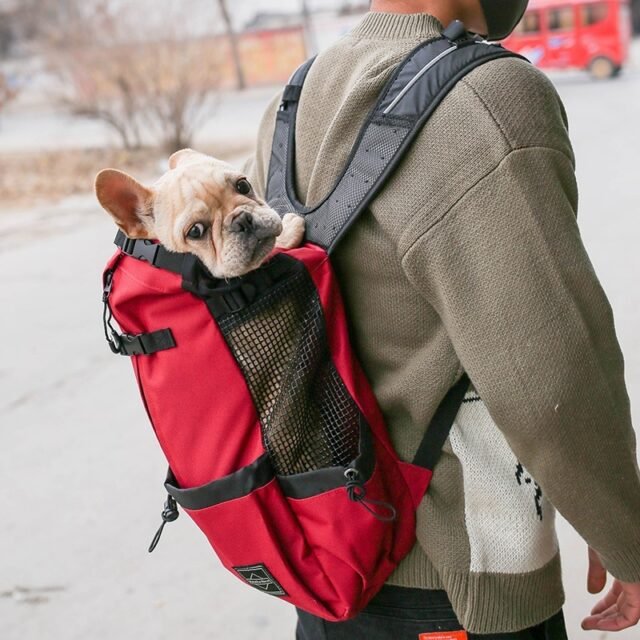 PawPack™ Pet Carrier Backpack