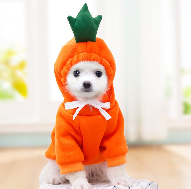 PawWarm™ Pet Hoodie - Image 10