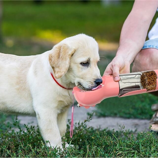 PawSip™ Travel Water Bottle