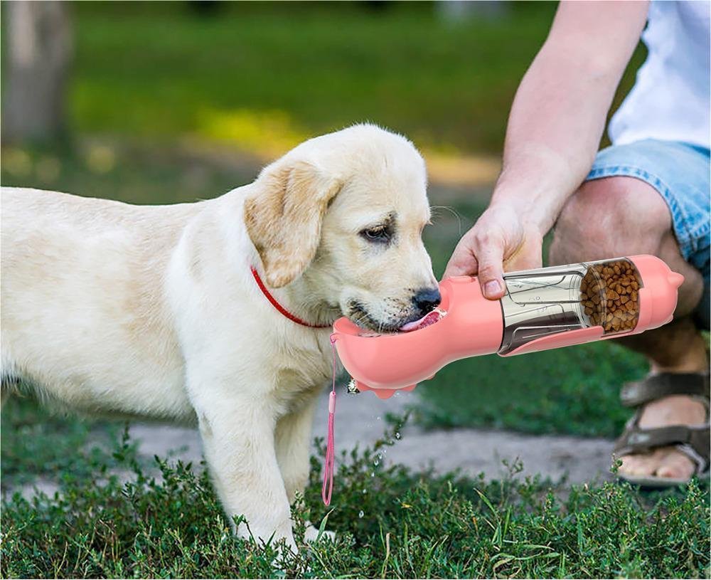 PawSip™ Travel Water Bottle