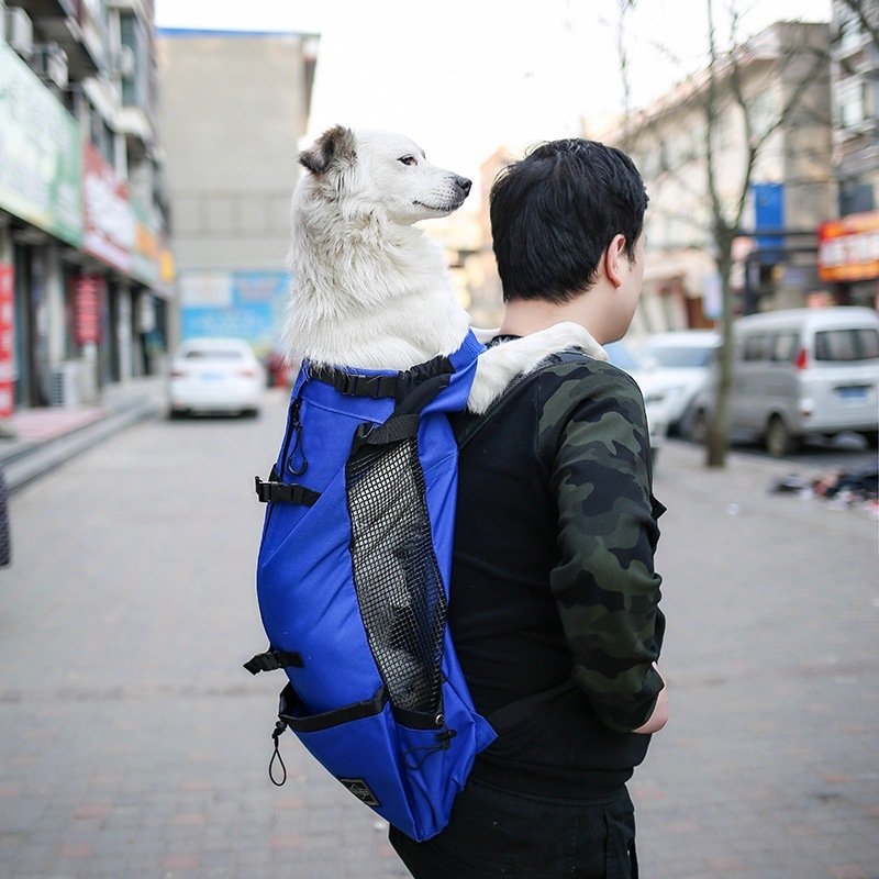 PawPack™ Pet Carrier Backpack - Image 8