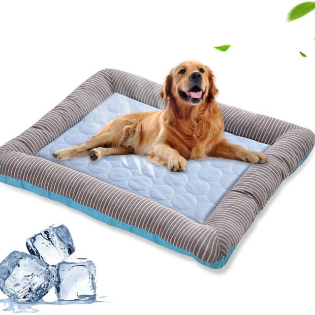 PawEase™ Cooling Mat