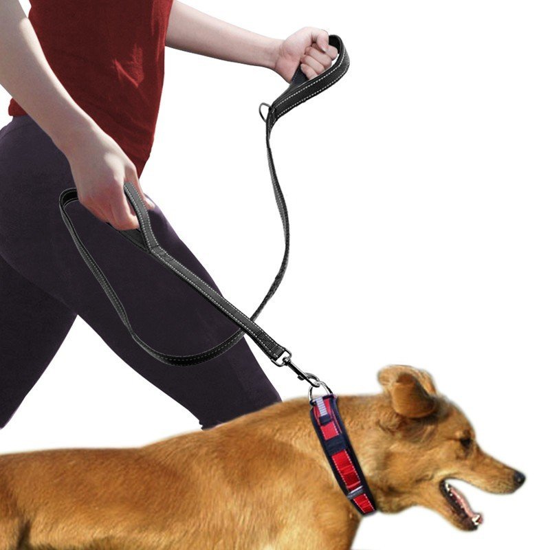 PawEase™ Double-Handle Dog Training Leash