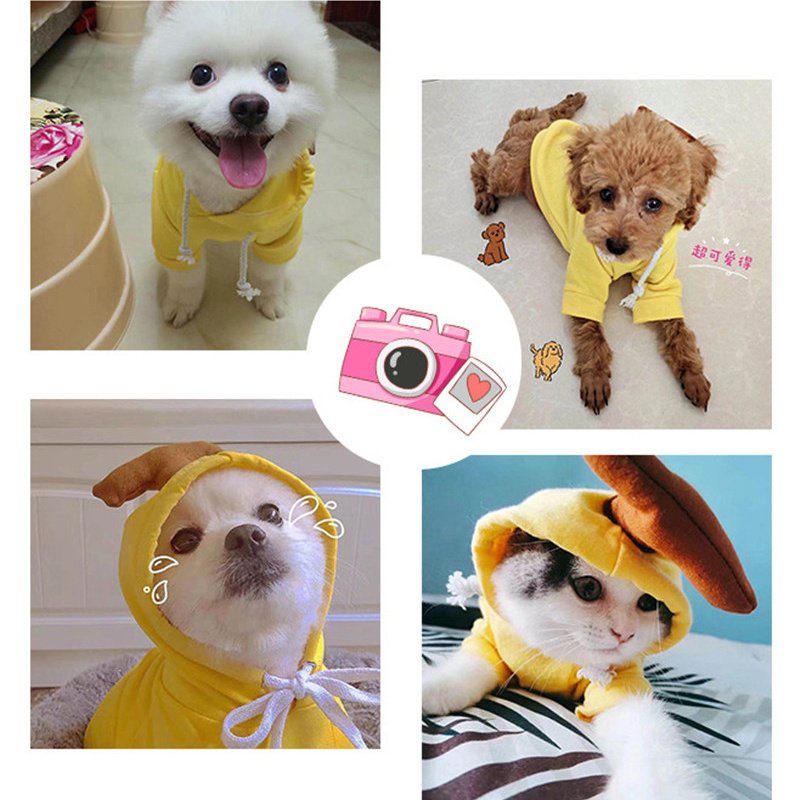 PawWarm™ Pet Hoodie - Image 6
